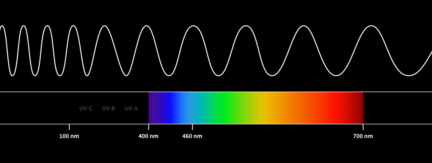 빛의 파장 스펙트럼 — UV 영역과 가시광선(400~700nm), 퓨리팟의 460nm 청색광